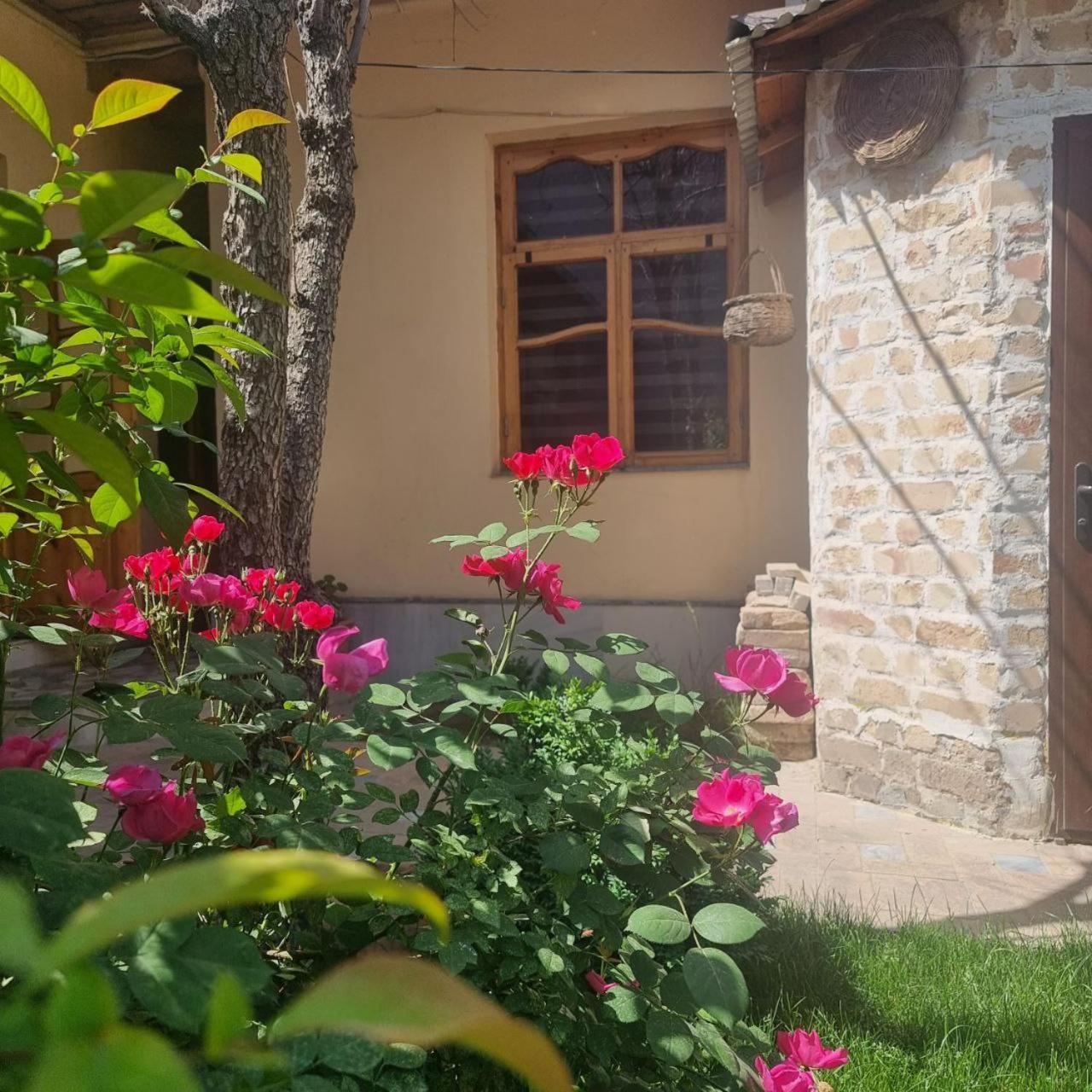Sim-Sim Hostel & Backpackers Samarcanda Exterior foto